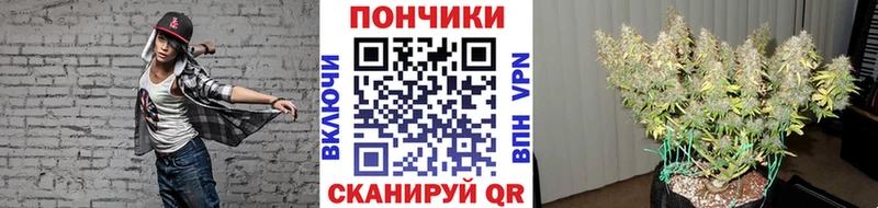 Хочу наркоту Кашира СОЛЬ АМФЕТАМИН Бошки Шишки Гашиш