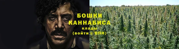 сатива Верхний Тагил