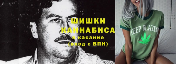 сатива Верхний Тагил