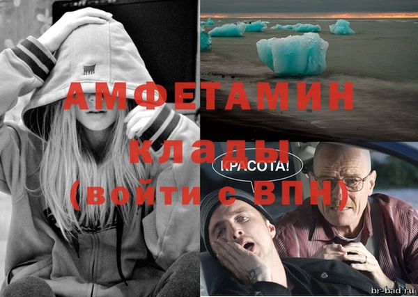 сатива Верхний Тагил