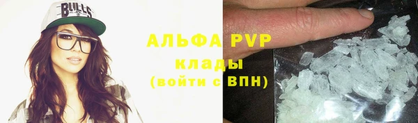 винт Верея
