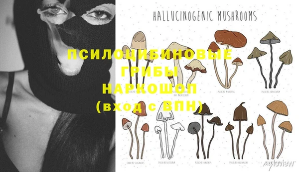 сатива Верхний Тагил