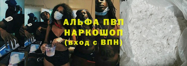 сатива Верхний Тагил